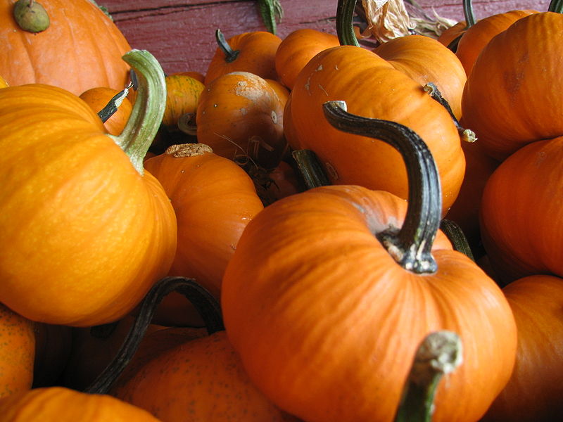 stacked orange pumpkins