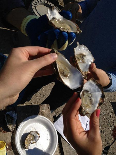 people handling open oysters