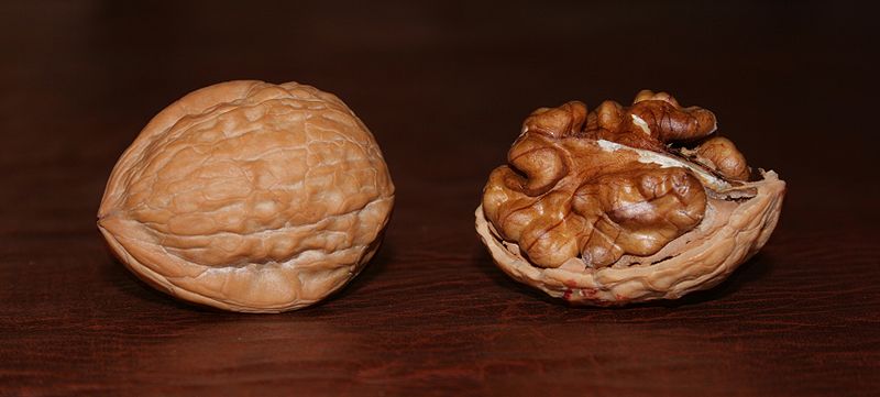 english walnuts in shell