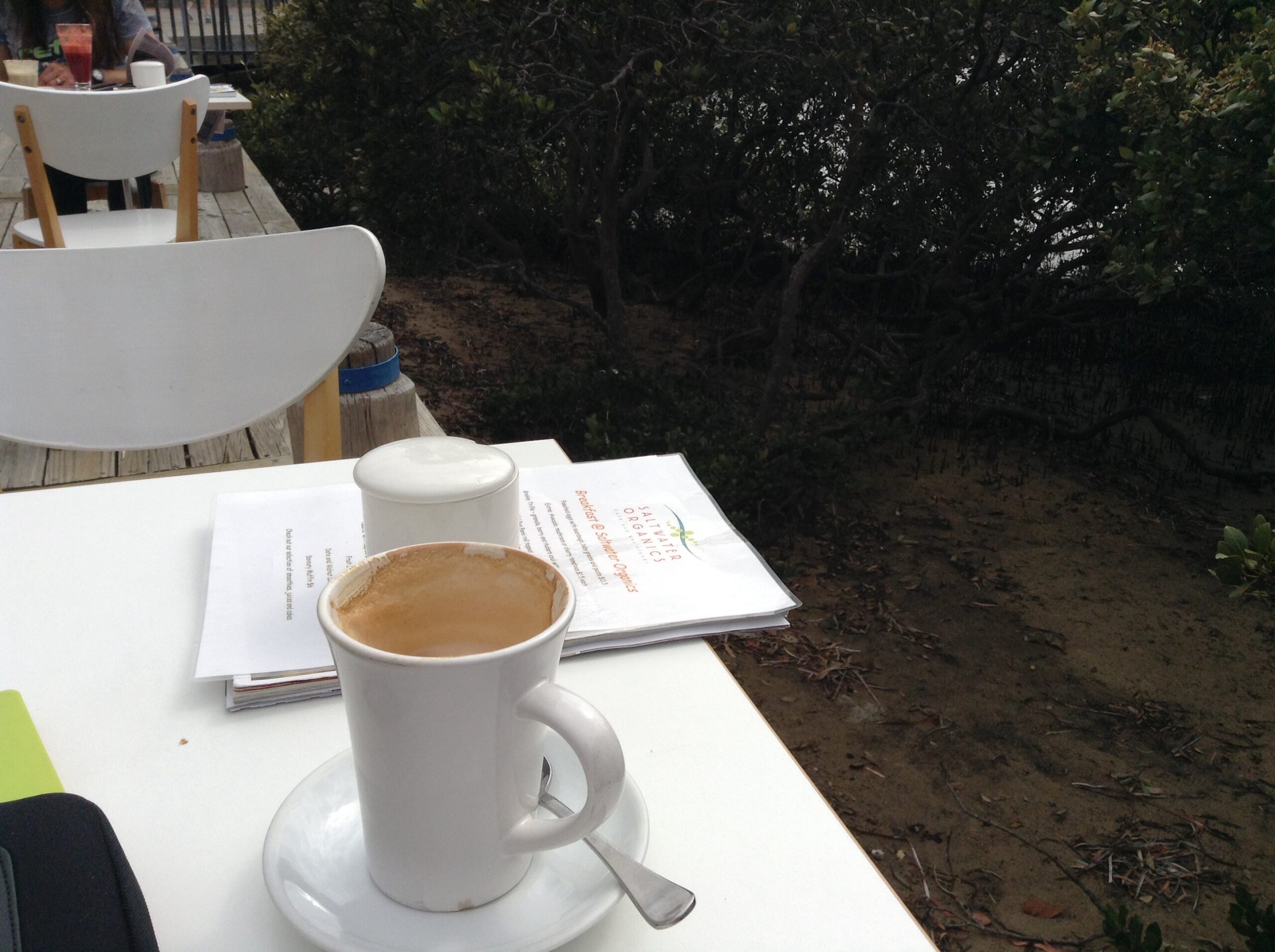 coffee cup at the mangroves, nicotine withdrawal