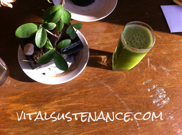 bonsai and green smoothie in the sun New Year's resolutions