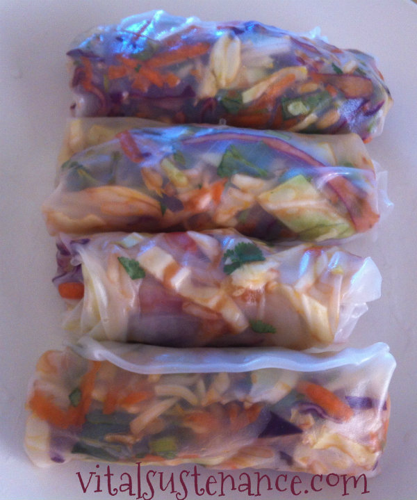 rolled up asian spring rolls