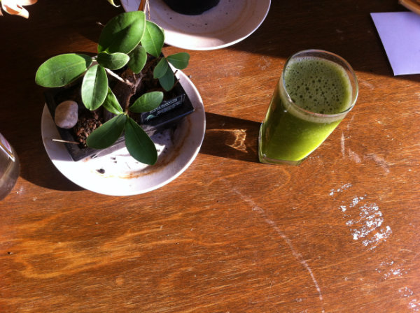 green smoothie with bonsai