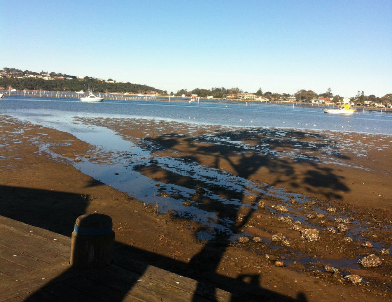 mindfulness every day practice can make you feel calm and in control - view to the bar and lake with shadow of gum tree