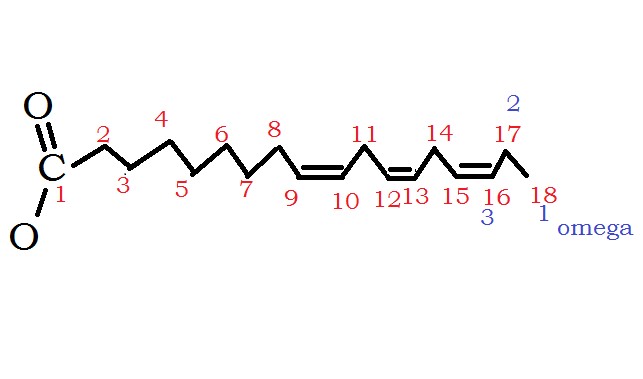 omega-3 structure