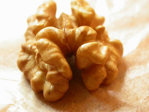 many people ask why do walnuts look like brains. An understanding of walnuts and brain health and the history of walnuts helps to answer this question