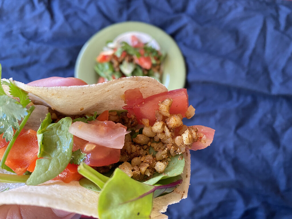 walnut taco meat with pico de gallo and lettuce leaves in corn tortilla - vegan taco recipe