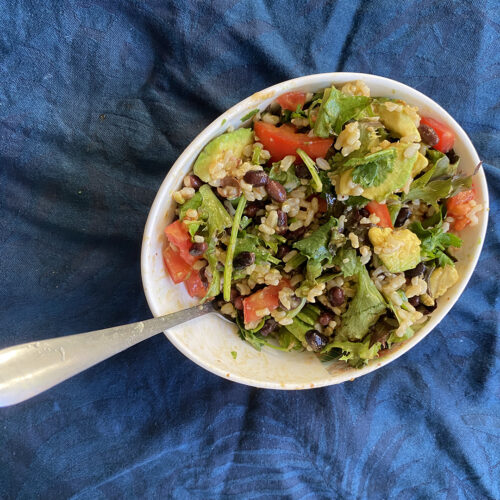 Vegan Chipotle Burrito Bowl