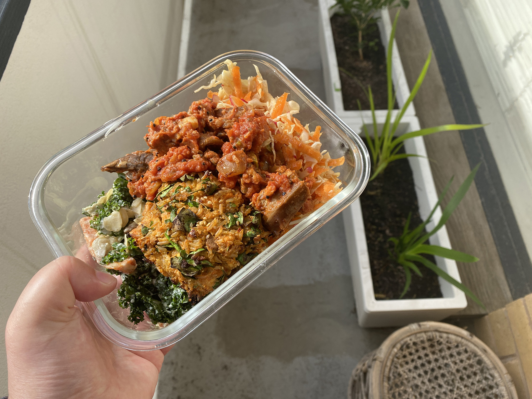 lunch bowl of the day