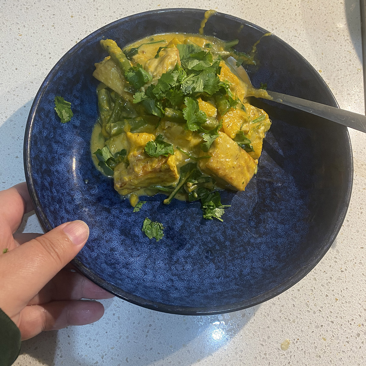 pumpkin and tofu green curry with beans