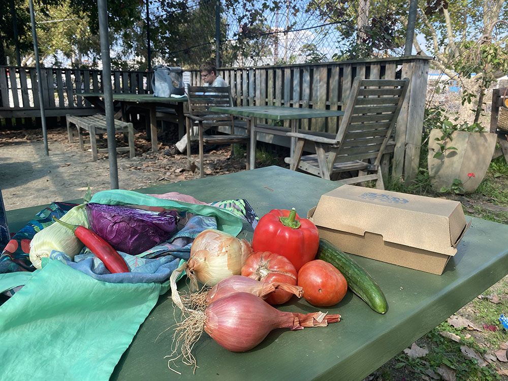 a range of late summer vegetables laid out on table in garden with chairs and tables in the background